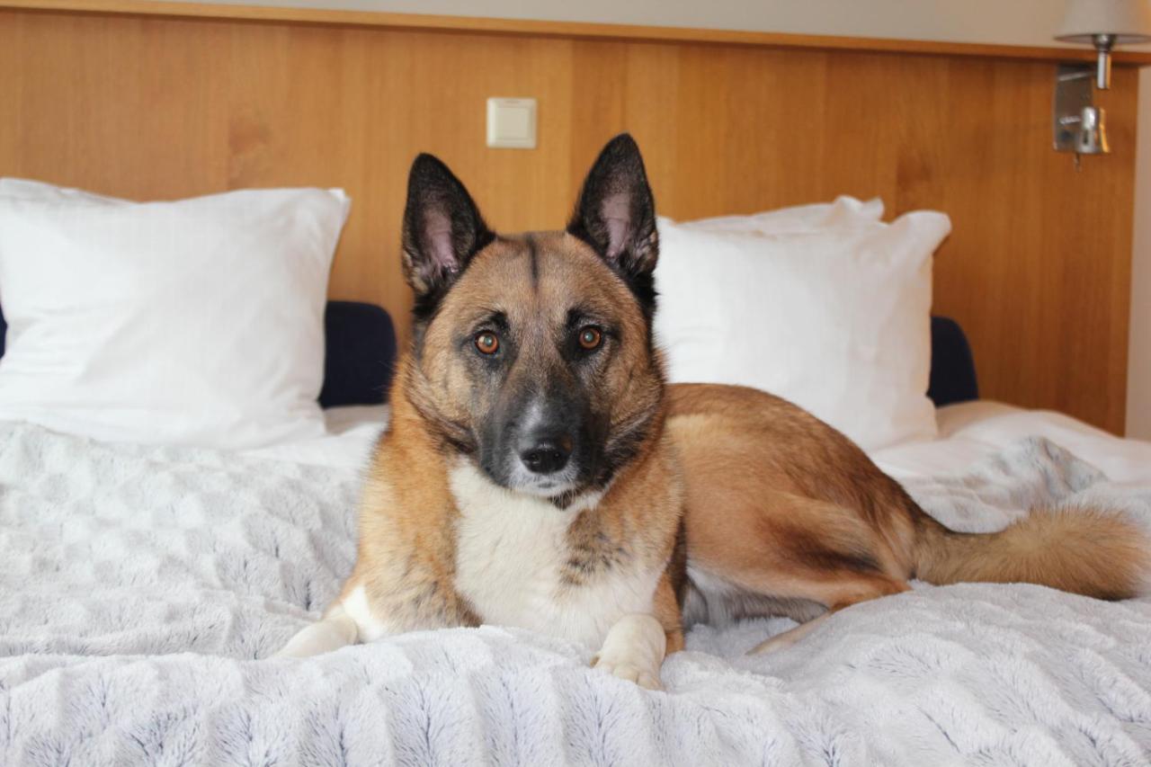 Best Western Hotel Halland Kungsbacka Zewnętrze zdjęcie